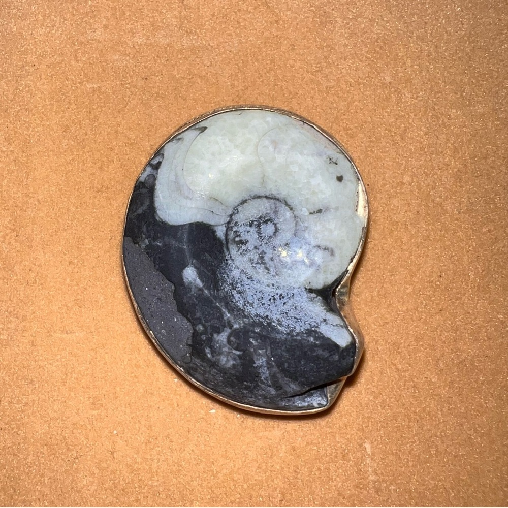 Huge Ammonite Solid 925 Sterling Silver Money Clip